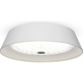 Потолочный светильник FREYA CELLS FR10013CL-L24W